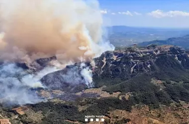 Incendio Forestal en Paüls: Una Lucha Incesante por el Control