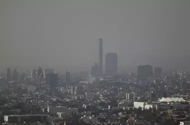 La OPEP Prevé un Freno a las Políticas Climáticas y Mayor Demanda de Petróleo