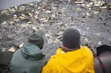 Demanda Legal contra Francia por Pesca de Arrastre de Fondo
