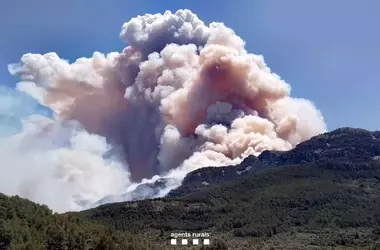 Incendios Forestales en Áreas Protegidas: Un Desafío Creciente