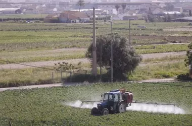 Innovación Agrícola: Reducción de Emisiones y Seguridad Alimentaria para 2034