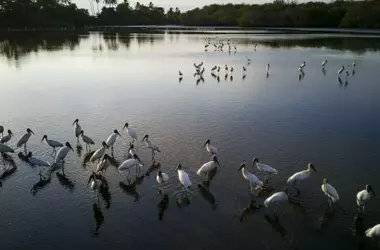 La inminente catástrofe económica de la pérdida de humedales: un costo de 39 billones de dólares proyectado