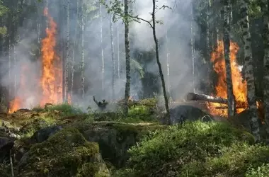 Ávila: Una Década Devastadora Marcada por Incendios Forestales
