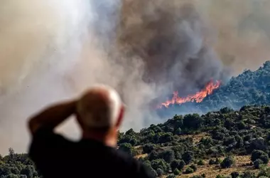Modelado Innovador para la Resiliencia Forestal ante Incendios