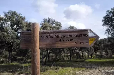 El Turismo Regenerativo: Una Oportunidad Sostenible Ignorada por el Sector Hotelero