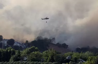 Incendios Forestales en España: Un Desafío Ambiental y una Oportunidad de Gestión Sostenible