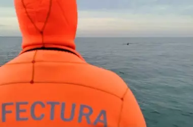 La Prefectura Naval Argentina Refuerza Medidas por la Creciente Presencia de Ballenas en Mar del Plata