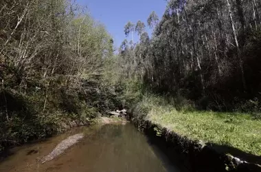 Innovación en Gestión Hídrica: Urdaibai Lidera el Futuro del Agua Potable