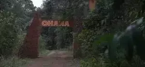 Un Refugio para la Fauna Silvestre: Misiones Inaugura Hospital Veterinario de Alta Complejidad