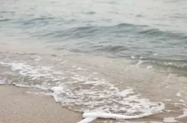 Cierre de Playas en Alboraya por Contaminación Residual: Un Problema Urgente para Valencia