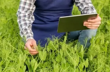 La inteligencia artificial como clave para la protección del suelo en Europa