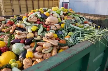 Reutilizar alimentos y prevenir el desperdicio es posible
