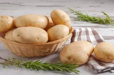 Desentrañando el Misterio: El Sorprendente Origen de la Patata Revelado