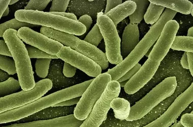 Contaminación fecal en las playas españolas, riesgos para tu salud