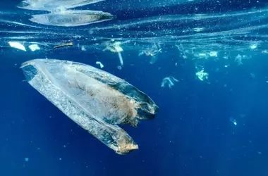 El nivel de microplásticos en el medioambiente en 2060 podría ser el triple que en 2019