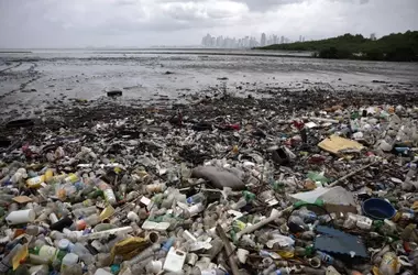 Ginebra: ¿Una Encrucijada Crucial para un Acuerdo Global sobre la Contaminación por Plásticos?