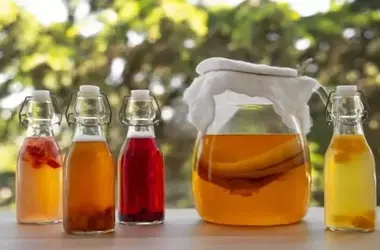 Innovación Sostenible: Kombucha Elaborada con Subproductos Vitivinícolas y sus Beneficios para la Salud