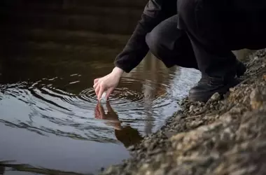 Revolución Ecológica: el ADN Ambiental Desvela la Biodiversidad Oculta en Humedales Catalanes