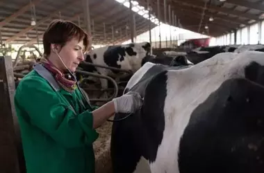 La Importancia Fundamental de la Veterinaria en la Salud Ecosistémica
