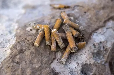 Las Playas de España Libres de Humo: Un Imperativo Sanitario y Ambiental