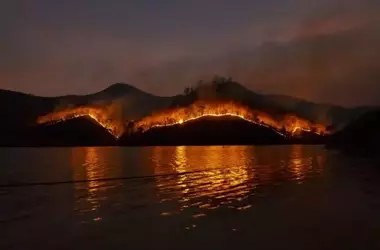 Incendio Forestal en Tarifa: Lucha Continua contra las Llamas