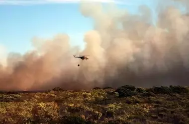 España Enfrenta una Crisis de Incendios Forestales Sin Precedentes en el Año Actual