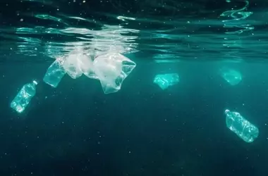 Impacto Devastador de las Botellas de Plástico en el Pacífico Latinoamericano