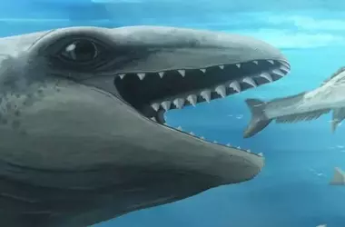 Janjucetus Dullardi: Un Depredador Marino Extinto con Ojos Gigantes y Dientes Asesinos