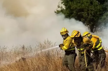 Crisis Incendios Forestales en España: Un Análisis Detallado de la Situación Actual