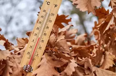 Día Mundial de la Prevención de Incendios: Urgente Llamada a la Acción para una Gestión Forestal Eficaz