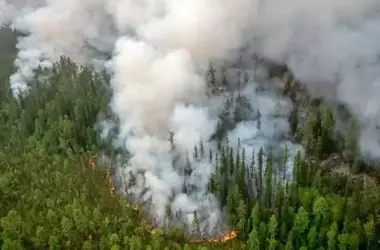 Situación Crítica de Incendios Forestales en España: Esfuerzos de Extinción y Desalojos