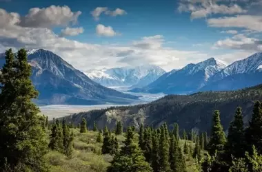 Organizaciones Ambientales Lanzan Campaña 'HandsOffNature' Contra la Flexibilización de Normativas en la UE