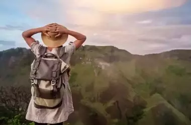 Gestión Sostenible del Bosque: Un Enfoque Multidimensional para Prevenir Incendios y Promover la Resiliencia