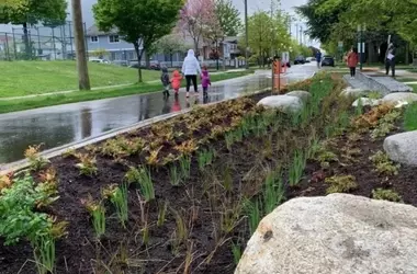 Gijón Ecoresiliente: Un Modelo de Renaturalización Urbana en España