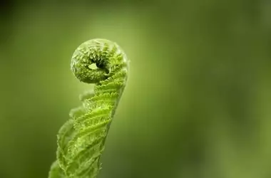 La Unión Europea y la Urgencia de Financiamiento Sostenible para la Conservación Natural