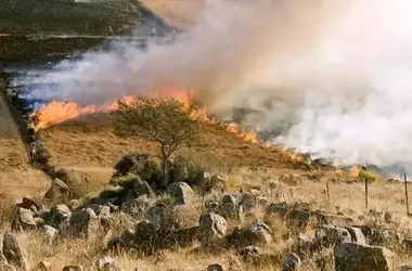 Castilla y León: Municipios en Alto Riesgo de Incendios Forestales Sin Planes de Emergencia