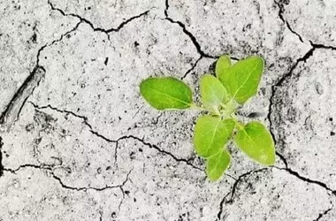 Financiación para la Adaptación Climática en la COP30: Un Desafío Crucial que Amenaza los Acuerdos Globales