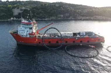 Iniciativa de limpieza elimina más de 40 toneladas de desechos de piscifactoría abandonada en el Golfo Sarónico