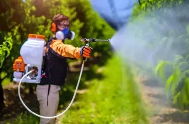 Día Mundial Sin Plaguicidas 2025: Un Llamado Urgente a la Agricultura Sostenible