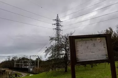 Redes Eléctricas: Una Trampa Mortal para las Aves y la Urgente Necesidad de Regulación