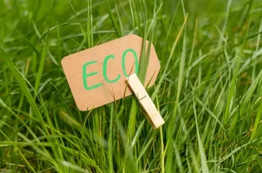 Anuario Greenwashing 2025: la metamorfosis del ecoblanqueo global al descubierto