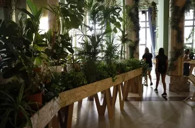 España Propone Red Nacional de Refugios Climáticos: Una Solución Frente al Calor Extremo