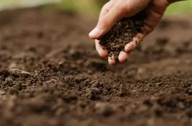 La agricultura intensiva ahoga la diversidad natural del Mediterráneo