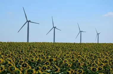 España Incumple la Agenda 2030: Un Llamado Urgente a la Acción
