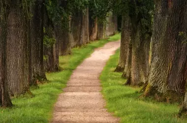La Red de Caminos Naturales: Un Impulso al Desarrollo Rural Sostenible y el Ecoturismo en España