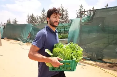 Jóvenes innovadores libios lideran la transformación agrícola con acuaponía frente a la escasez hídrica