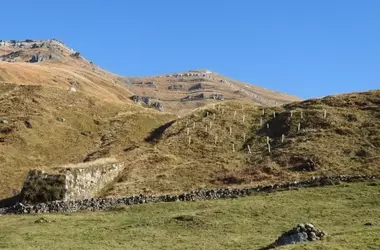 Restauraci￳n Integral: El Proyecto "Bosques Flotantes" Reaviva la Biodiversidad y Cultura en Cantabria