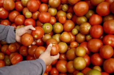 La agricultura frente a las catástrofes: soluciones digitales para un futuro resiliente