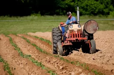 Europa Impulsa el Sector Agrario con una Inyección Millonaria y Flexibilidad en la PAC