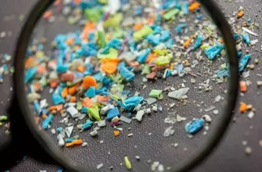 El Zooplancton, Clave en la Dispersión de Microplásticos Oceánicos